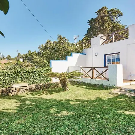 Casa Pinos * Icod De Los Vinos