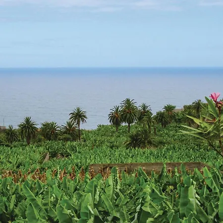 Casa vacanze Casa Pinos Icod De Los Vinos