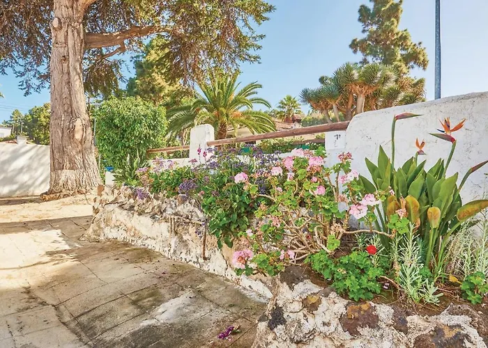 Casa Pinos Tatil Evi
