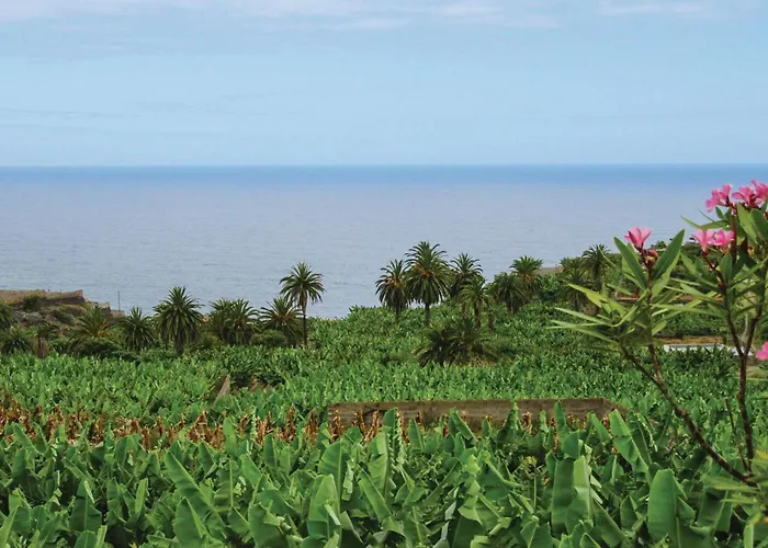 Casa vacanze Casa Pinos Icod De Los Vinos